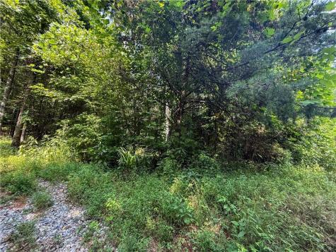 0 Highway 19 N Dahlonega GA 30533