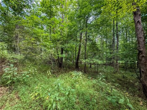 0 Highway 19 N Dahlonega GA 30533