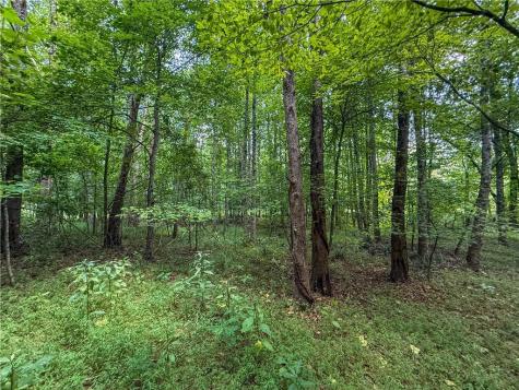 0 Highway 19 N Dahlonega GA 30533