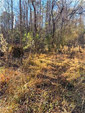 0 Highway 19 N Dahlonega GA 30533