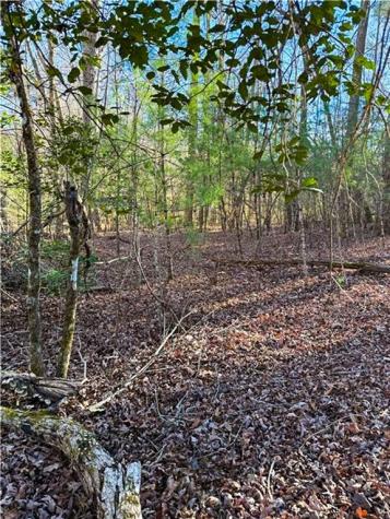 0 Highway 19 N Dahlonega GA 30533