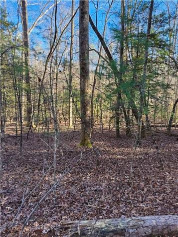 0 Highway 19 N Dahlonega GA 30533