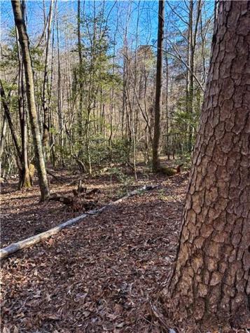 0 Highway 19 N Dahlonega GA 30533