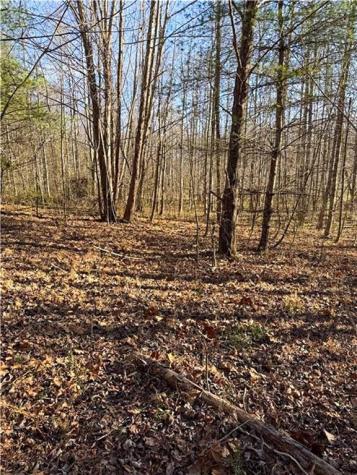 0 Highway 19 N Dahlonega GA 30533