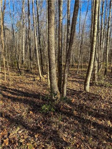 0 Highway 19 N Dahlonega GA 30533
