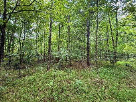 0 Highway 19 N Dahlonega GA 30533