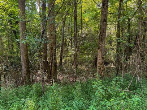 0 Highway 19 N Dahlonega GA 30533