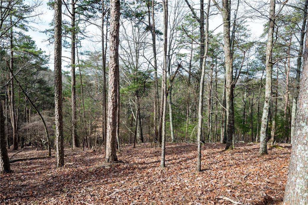 34 Waterside Drive SE Cartersville GA 30121