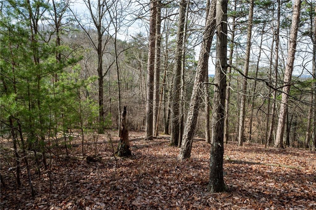 34 Waterside Drive SE Cartersville GA 30121