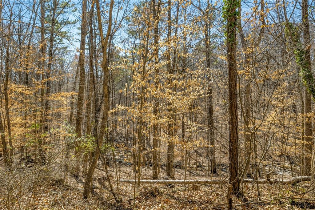 2661 Sandpoint Way Roswell GA 30075