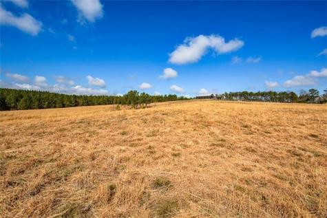 119 Inland 15 Acres Drive Talking Rock GA 30175