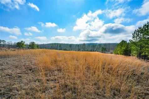119 Inland 15 Acres Drive Talking Rock GA 30175