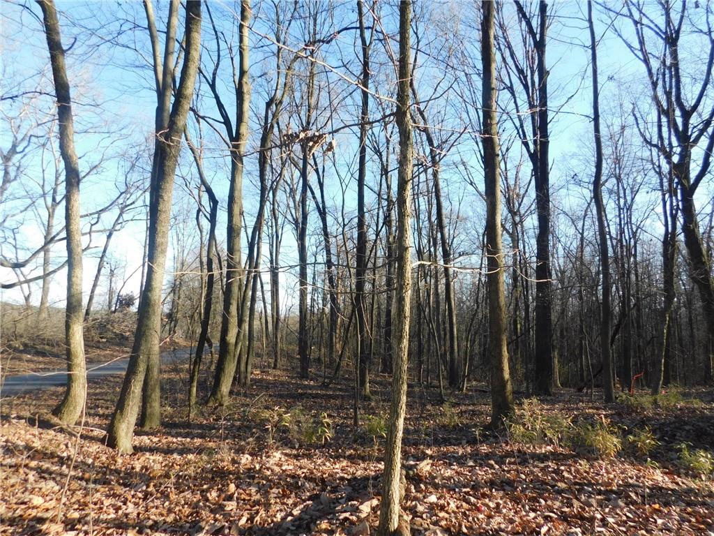 74 Lee Chester Road Dahlonega GA 30533