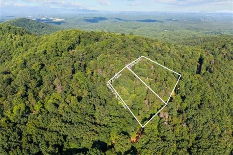 Lt 4-5 Fire Tower Road Jasper GA 30143