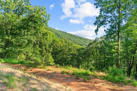 Lt 4-5 Fire Tower Road Jasper GA 30143