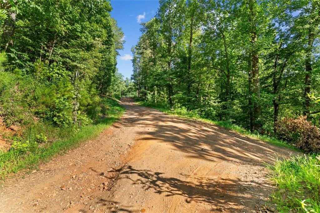 Lt 4-5 Fire Tower Road Jasper GA 30143