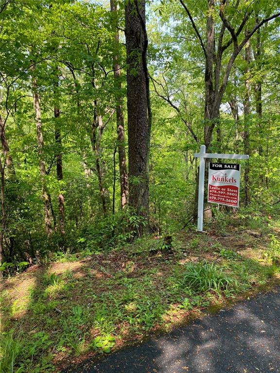 31 Valhalla Drive Cleveland GA 30528