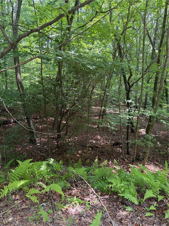 13 Pinnacle Court Blairsville GA 30512