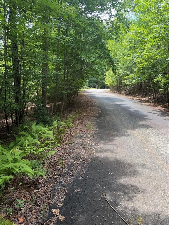 13 Pinnacle Court Blairsville GA 30512