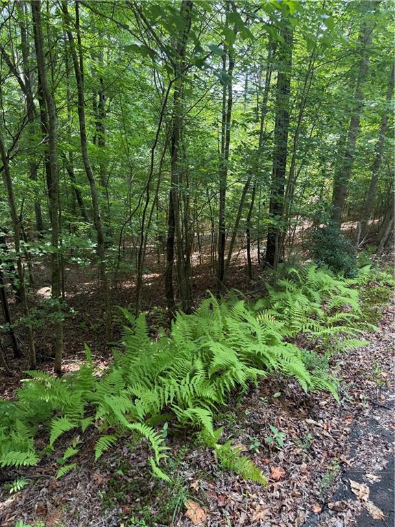 13 Pinnacle Court Blairsville GA 30512