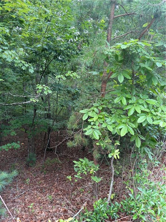 13 Pinnacle Court Blairsville GA 30512