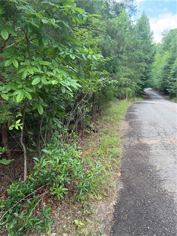 13 Pinnacle Court Blairsville GA 30512