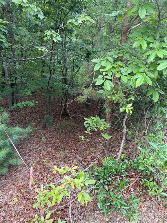 13 Pinnacle Court Blairsville GA 30512