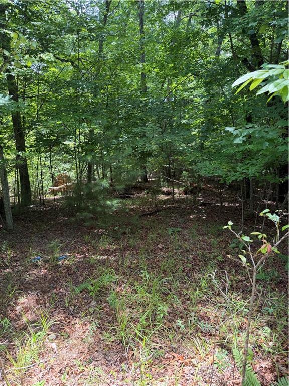 13 Pinnacle Court Blairsville GA 30512