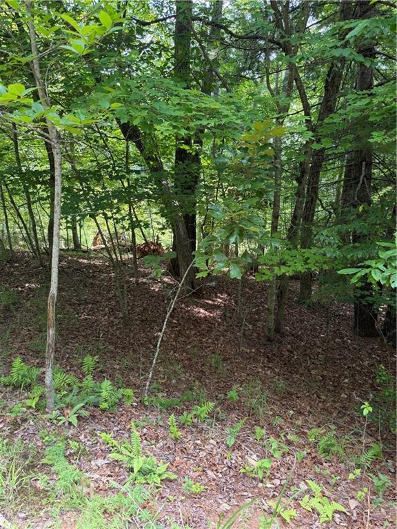 13 Pinnacle Court Blairsville GA 30512