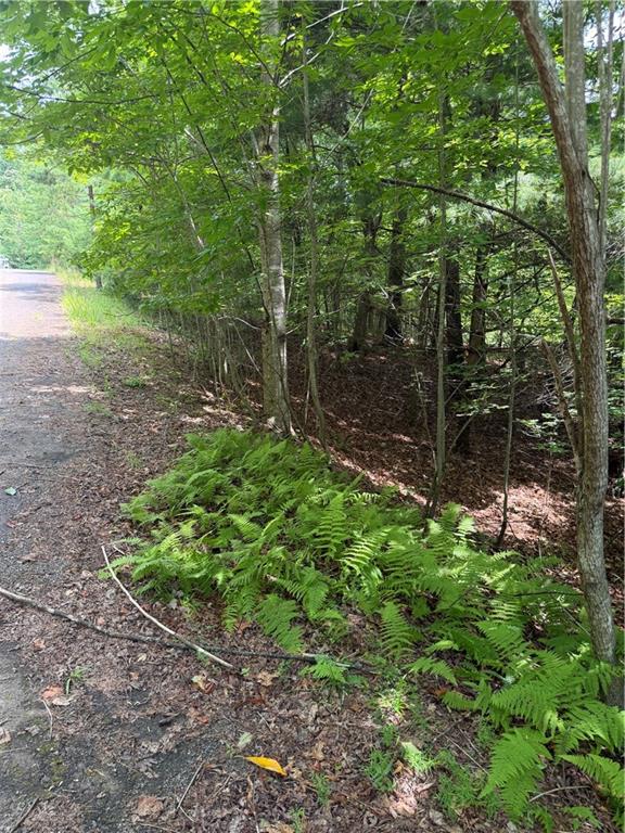 13 Pinnacle Court Blairsville GA 30512