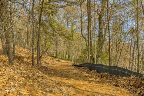 0 Eagle Ridge Trail Lot #4 & Lot #5 Cleveland GA 30528