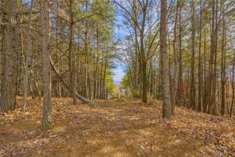 0 Eagle Ridge Trail Lot #4 & Lot #5 Cleveland GA 30528