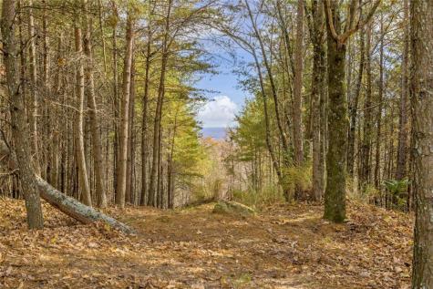 0 Eagle Ridge Trail Lot #4 & Lot #5 Cleveland GA 30528