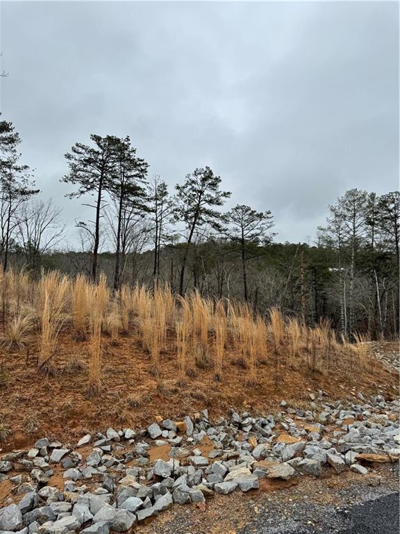 171 Ridge Line Court Ellijay GA 30540