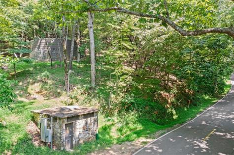 37 Petit Ridge Drive Big Canoe GA 30143