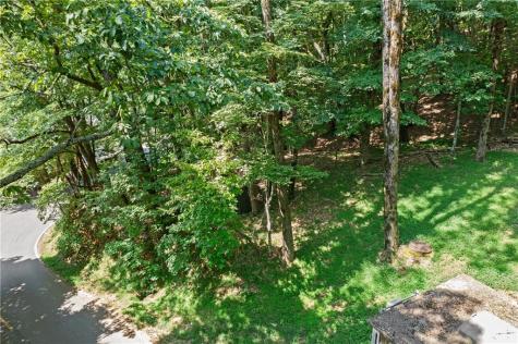 37 Petit Ridge Drive Big Canoe GA 30143