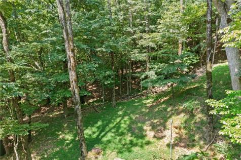 37 Petit Ridge Drive Big Canoe GA 30143