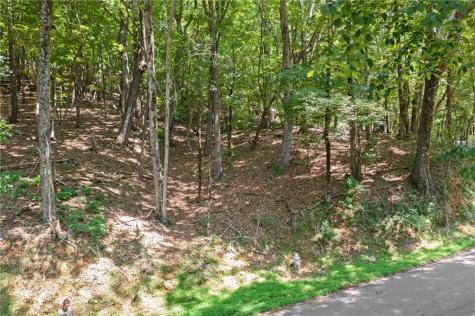 37 Petit Ridge Drive Big Canoe GA 30143