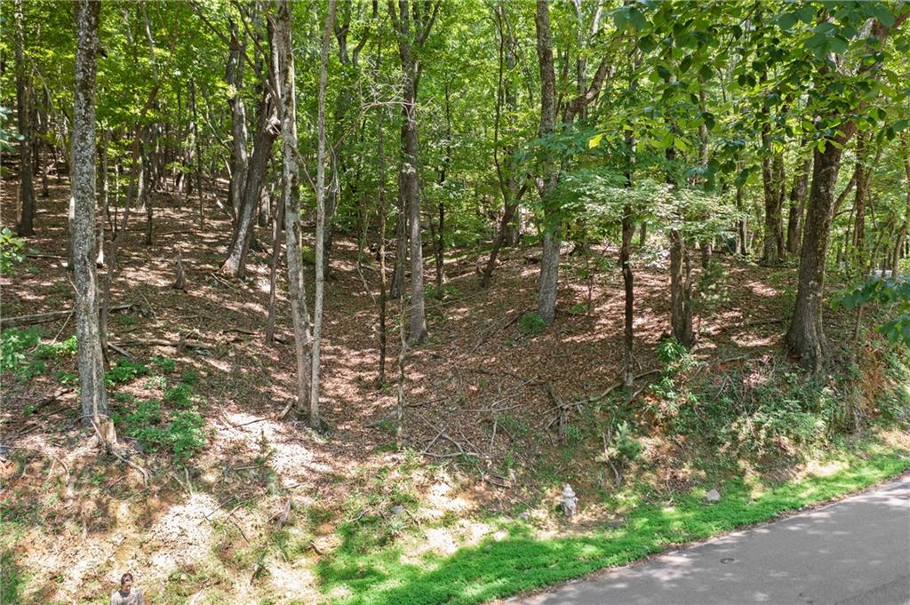 37 Petit Ridge Drive Big Canoe GA 30143