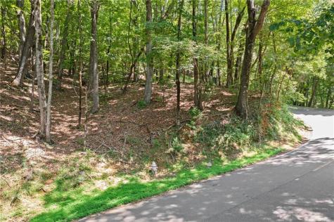 37 Petit Ridge Drive Big Canoe GA 30143
