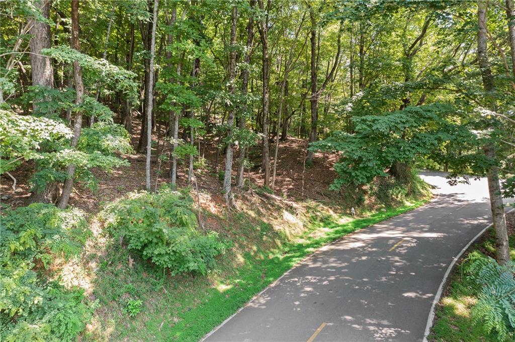 37 Petit Ridge Drive Big Canoe GA 30143