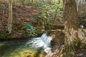 37 Petit Ridge Drive Big Canoe GA 30143