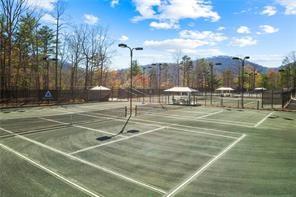 37 Petit Ridge Drive Big Canoe GA 30143