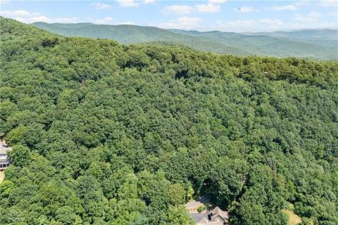 37 Petit Ridge Drive Big Canoe GA 30143