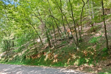 37 Petit Ridge Drive Big Canoe GA 30143