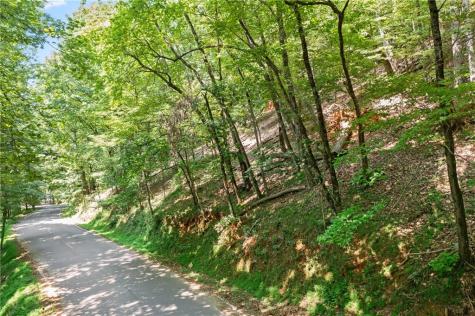 37 Petit Ridge Drive Big Canoe GA 30143