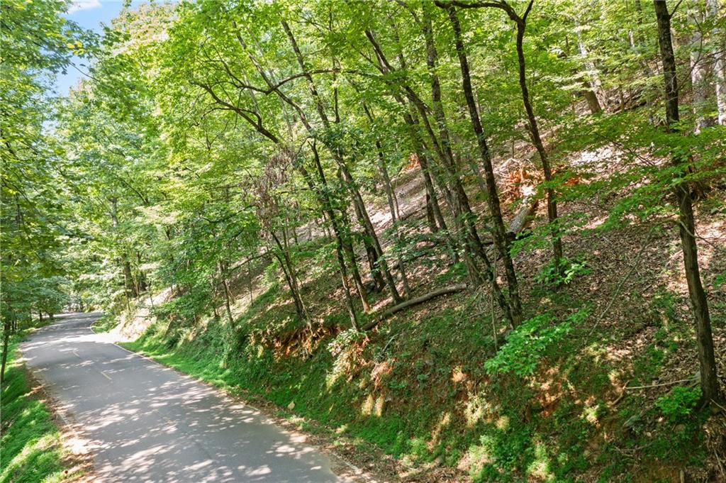 37 Petit Ridge Drive Big Canoe GA 30143