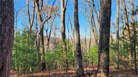 0 Meadowlands Drive Talking Rock GA 30175