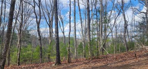 0 Meadowlands Drive Talking Rock GA 30175