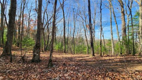 0 Meadowlands Drive Talking Rock GA 30175